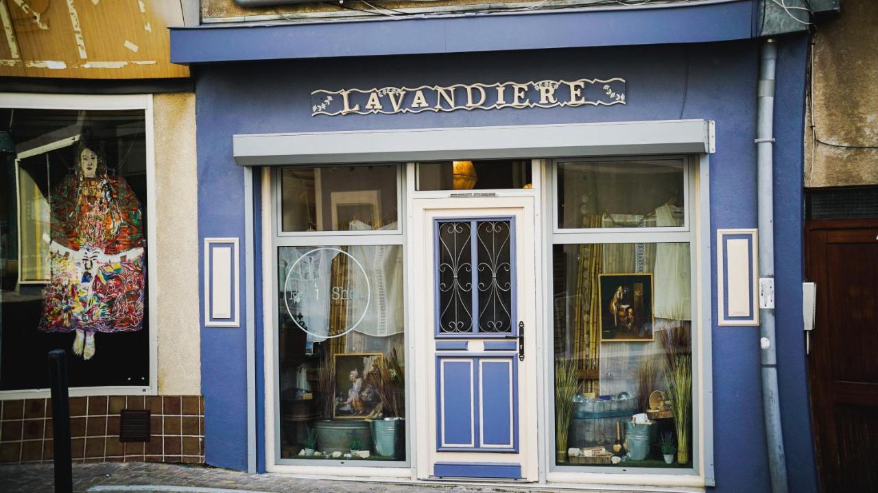 La Lavandiere, Centre Historique, Fibre, Ess, Rez-De-Chaussee, Bedinshop Romans-sur-Isère Exterior foto